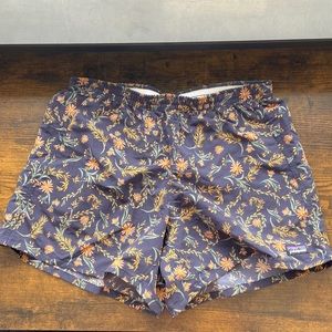 Patagonia Baggie Shorts